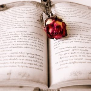 non fiction
